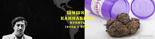 ALPHA PVP Белокуриха