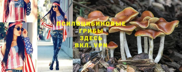 ALPHA PVP Белокуриха